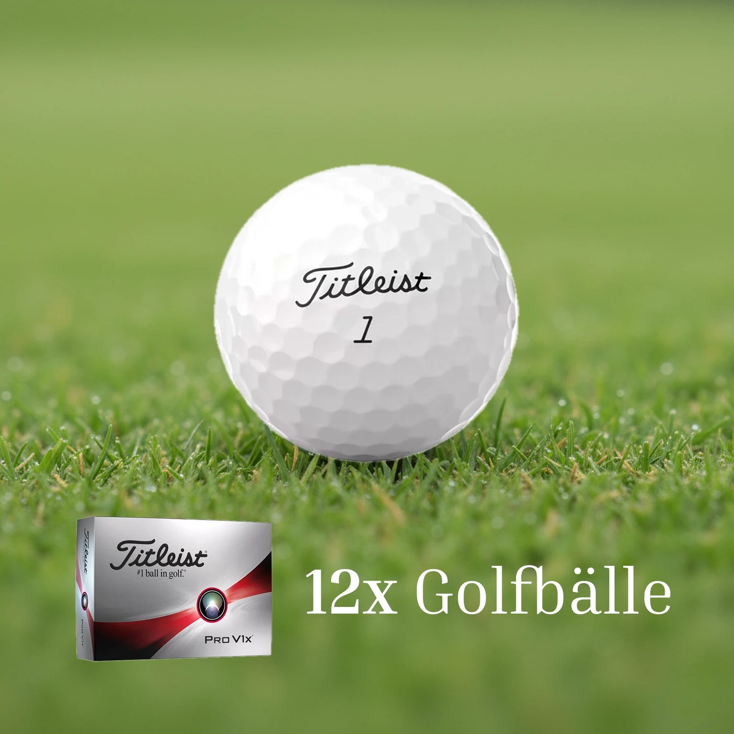12x Golfbälle